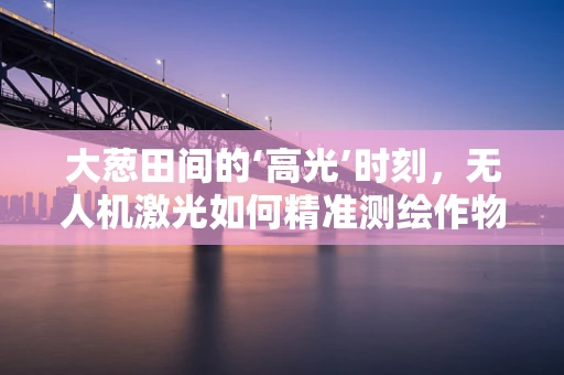 大葱田间的‘高光’时刻，无人机激光如何精准测绘作物分布？