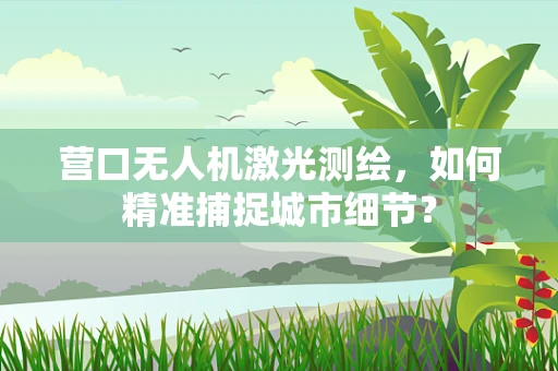 营口无人机激光测绘，如何精准捕捉城市细节？