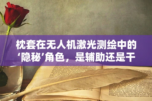 枕套在无人机激光测绘中的‘隐秘’角色，是辅助还是干扰？