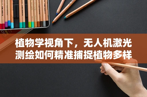 植物学视角下，无人机激光测绘如何精准捕捉植物多样性？