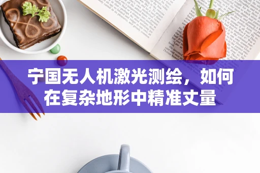 宁国无人机激光测绘，如何在复杂地形中精准丈量