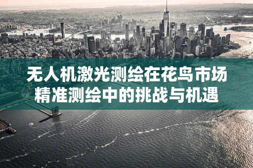 无人机激光测绘在花鸟市场精准测绘中的挑战与机遇