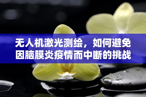 无人机激光测绘，如何避免因脑膜炎疫情而中断的挑战？