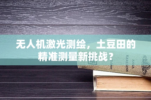 无人机激光测绘，土豆田的精准测量新挑战？