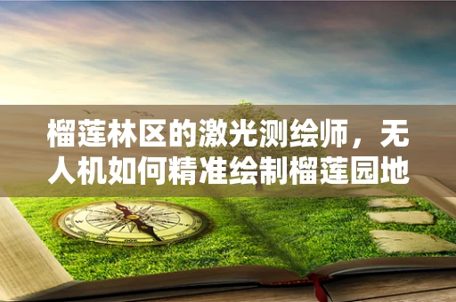 榴莲林区的激光测绘师，无人机如何精准绘制榴莲园地形？