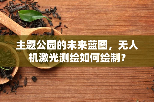 主题公园的未来蓝图，无人机激光测绘如何绘制？