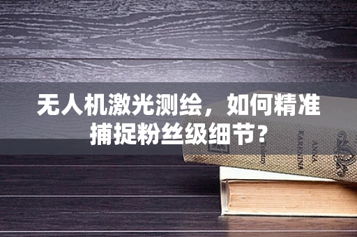 无人机激光测绘，如何精准捕捉粉丝级细节？