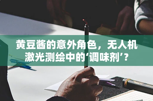 黄豆酱的意外角色，无人机激光测绘中的‘调味剂’？