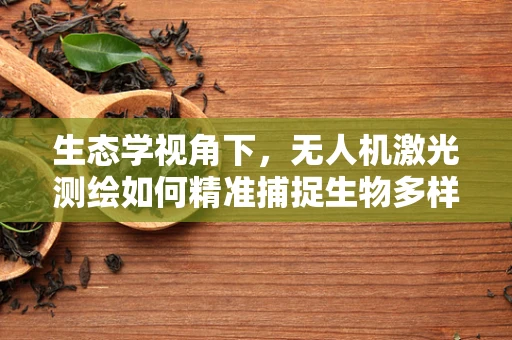 生态学视角下，无人机激光测绘如何精准捕捉生物多样性？