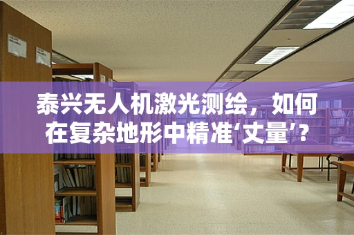 泰兴无人机激光测绘，如何在复杂地形中精准‘丈量’？