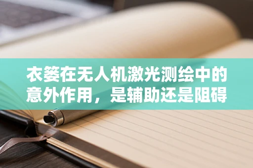 衣篓在无人机激光测绘中的意外作用，是辅助还是阻碍？