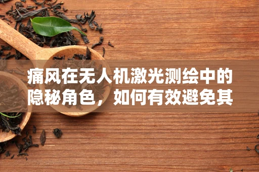 痛风在无人机激光测绘中的隐秘角色，如何有效避免其影响？