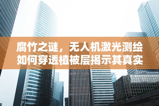 腐竹之谜，无人机激光测绘如何穿透植被层揭示其真实结构？