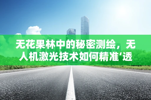 无花果林中的秘密测绘，无人机激光技术如何精准‘透视’？