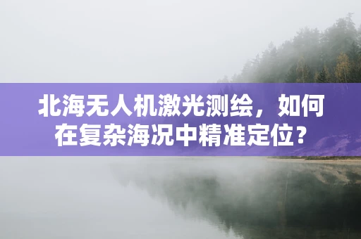 北海无人机激光测绘，如何在复杂海况中精准定位？