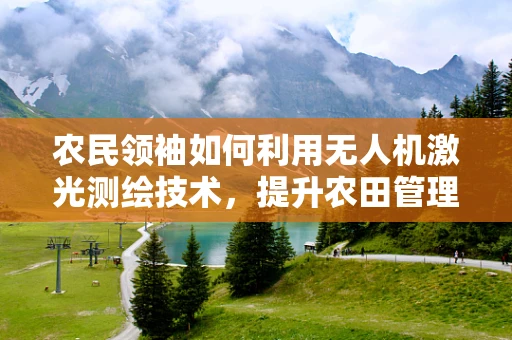 农民领袖如何利用无人机激光测绘技术，提升农田管理效率？
