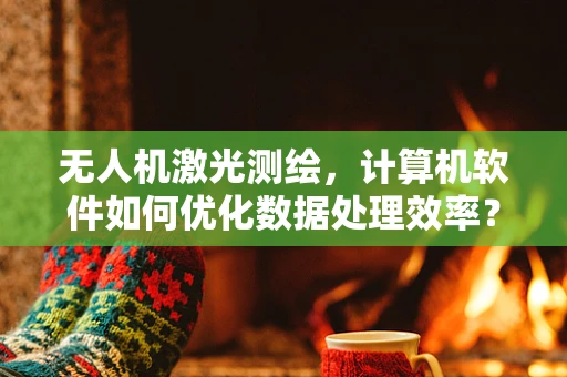 无人机激光测绘，计算机软件如何优化数据处理效率？