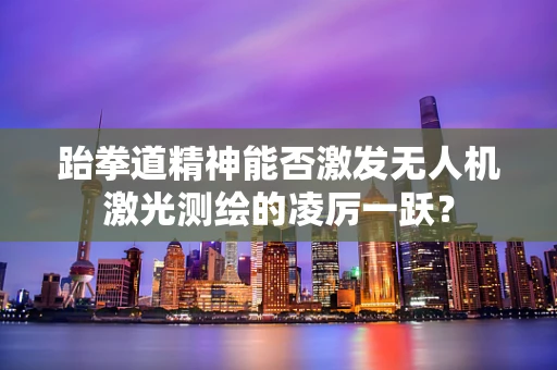 跆拳道精神能否激发无人机激光测绘的凌厉一跃？