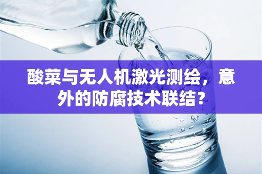 酸菜与无人机激光测绘，意外的防腐技术联结？