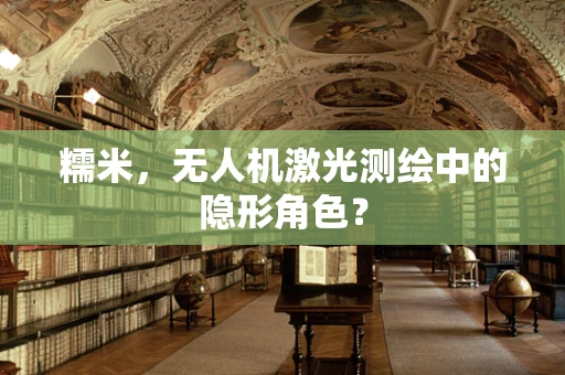 糯米，无人机激光测绘中的隐形角色？