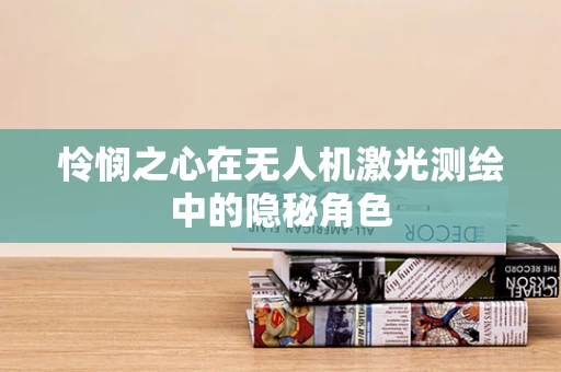 怜悯之心在无人机激光测绘中的隐秘角色