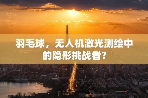 羽毛球，无人机激光测绘中的隐形挑战者？