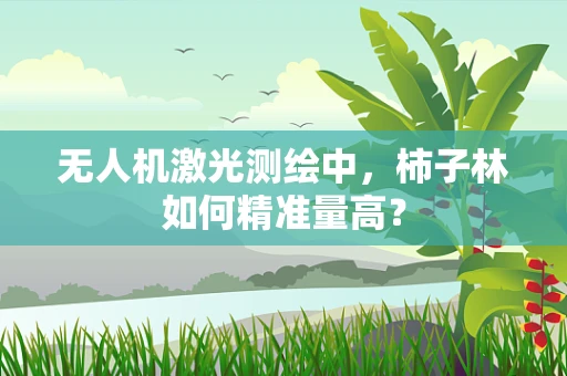 无人机激光测绘中，柿子林如何精准量高？