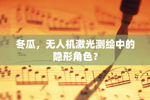 冬瓜，无人机激光测绘中的隐形角色？