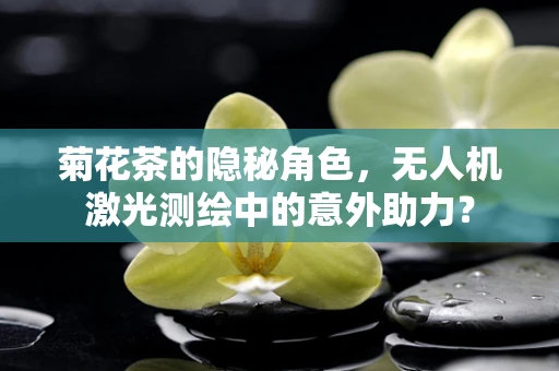 菊花茶的隐秘角色，无人机激光测绘中的意外助力？