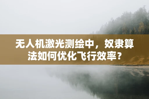 无人机激光测绘中，奴隶算法如何优化飞行效率？