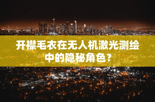 开襟毛衣在无人机激光测绘中的隐秘角色？