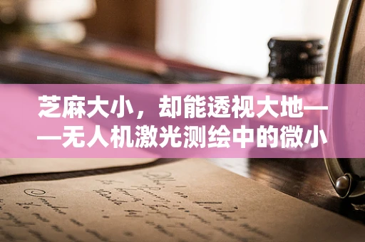 芝麻大小，却能透视大地——无人机激光测绘中的微小却关键的角色？