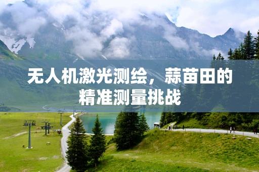 无人机激光测绘，蒜苗田的精准测量挑战
