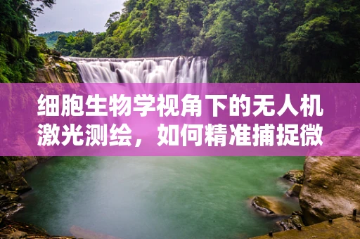 细胞生物学视角下的无人机激光测绘，如何精准捕捉微观世界的轮廓？