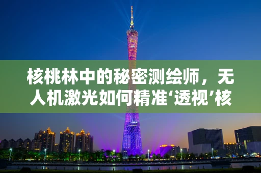 核桃林中的秘密测绘师，无人机激光如何精准‘透视’核桃树冠？