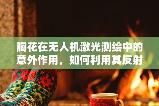 胸花在无人机激光测绘中的意外作用，如何利用其反射特性提升测绘精度？
