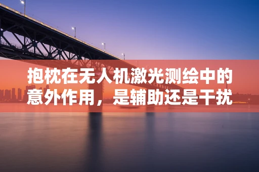 抱枕在无人机激光测绘中的意外作用，是辅助还是干扰？