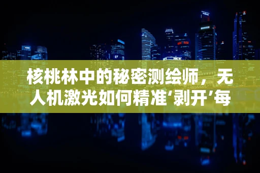 核桃林中的秘密测绘师，无人机激光如何精准‘剥开’每一棵树的‘果壳’？