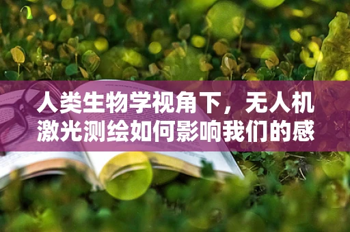 人类生物学视角下，无人机激光测绘如何影响我们的感知与认知？