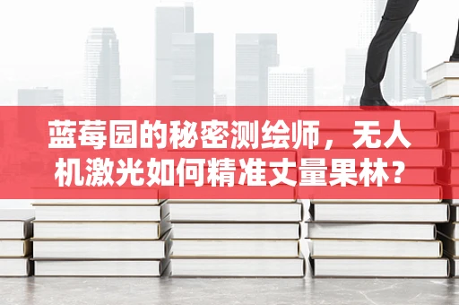 蓝莓园的秘密测绘师，无人机激光如何精准丈量果林？