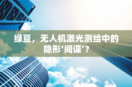 绿豆，无人机激光测绘中的隐形‘间谍’？