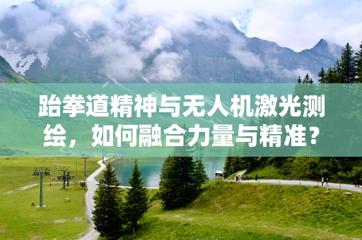 跆拳道精神与无人机激光测绘，如何融合力量与精准？