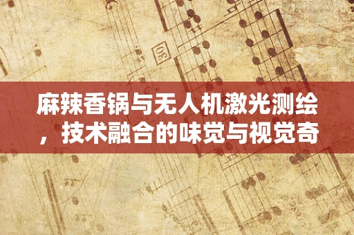 麻辣香锅与无人机激光测绘，技术融合的味觉与视觉奇缘