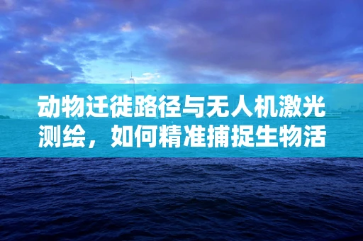 动物迁徙路径与无人机激光测绘，如何精准捕捉生物活动轨迹？