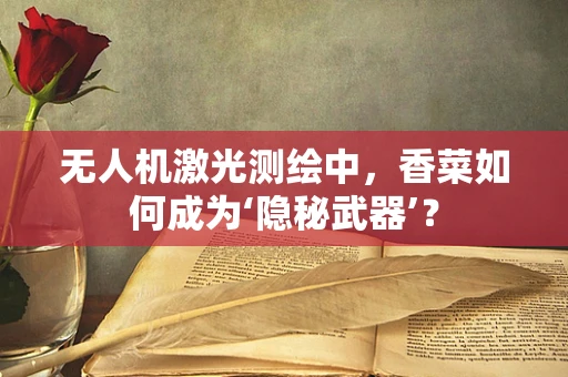 无人机激光测绘中，香菜如何成为‘隐秘武器’？