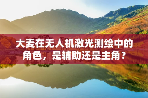大麦在无人机激光测绘中的角色，是辅助还是主角？