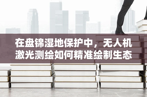 在盘锦湿地保护中，无人机激光测绘如何精准绘制生态‘基线图’？