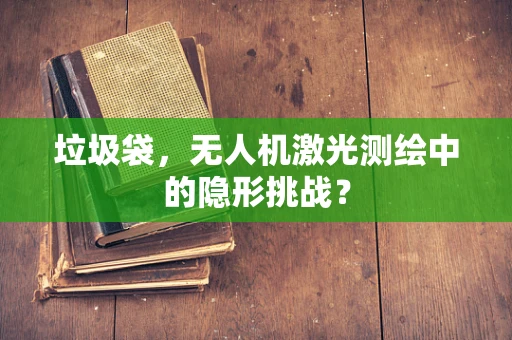 垃圾袋，无人机激光测绘中的隐形挑战？