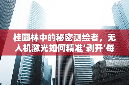 桂圆林中的秘密测绘者，无人机激光如何精准‘剥开’每一棵树的‘果球’？