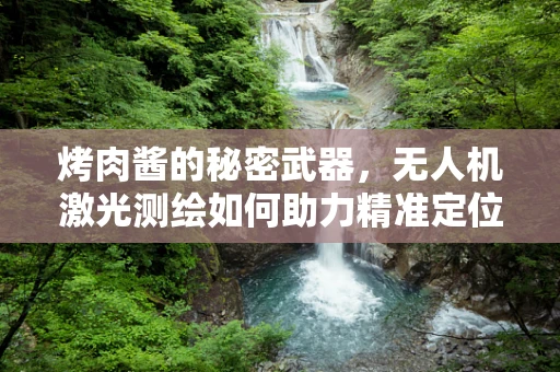 烤肉酱的秘密武器，无人机激光测绘如何助力精准定位？